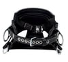 DBI-SALA 1001403 SEAT-BELT 4D Lineman Belt (size D29)