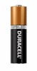 Duracell : Coppertop AA Battery